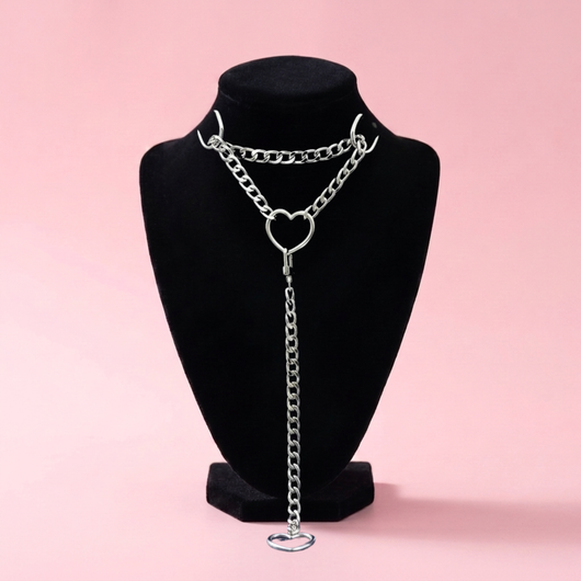 Leather Swivel Collar
